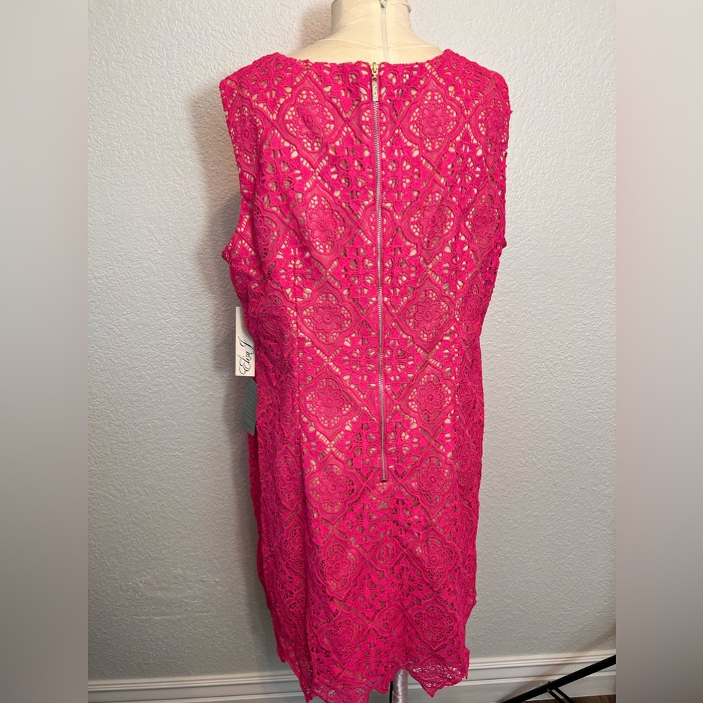 Eliza J fuchsia pink lace shift dress size 18W nwt